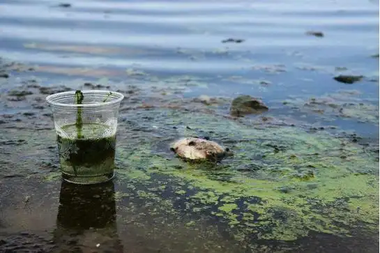 上海百辰环保科技取得自适应雨水收集设备专利，避免外部污染物污染雨水
