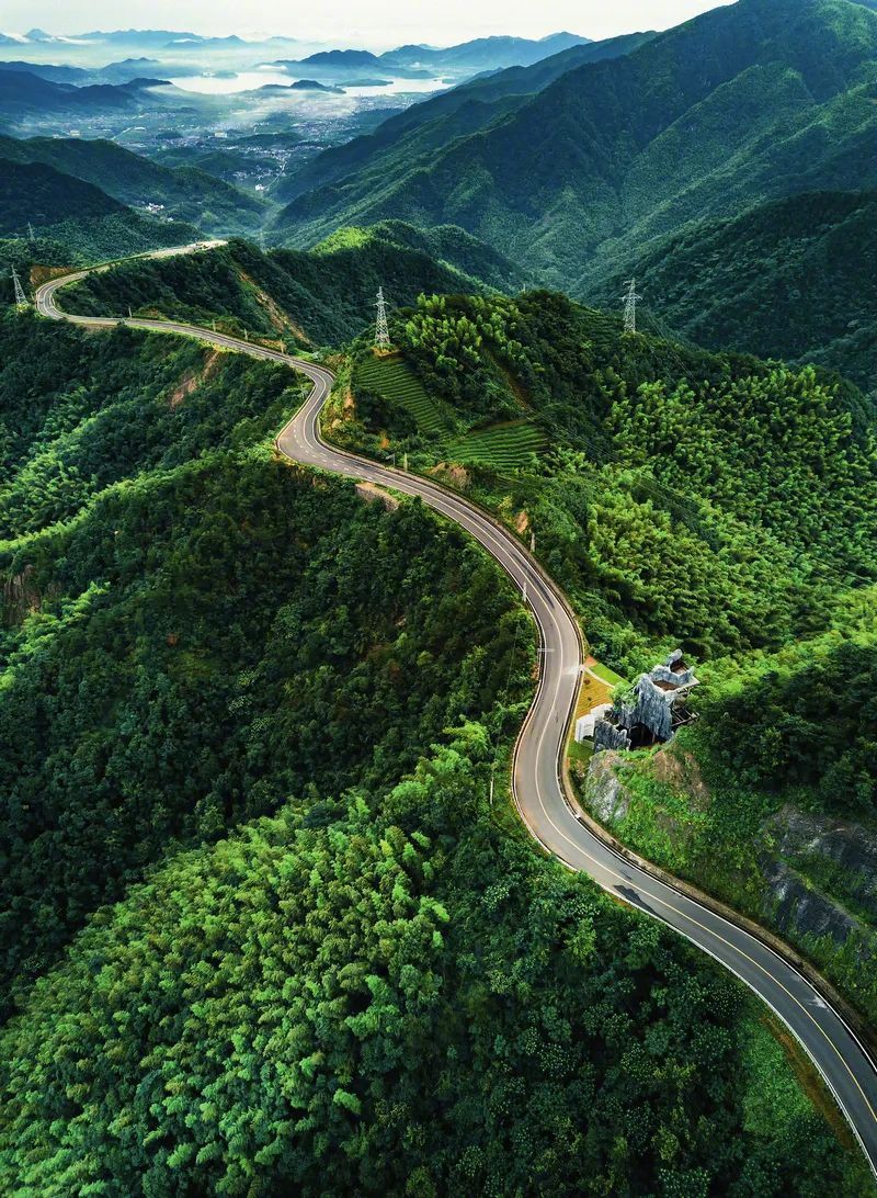 2025年中国生态保护与修复研究报告