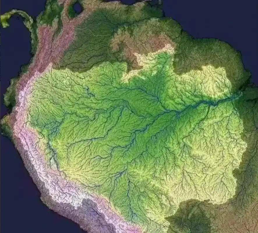 亚马逊流域 亚马逊流域