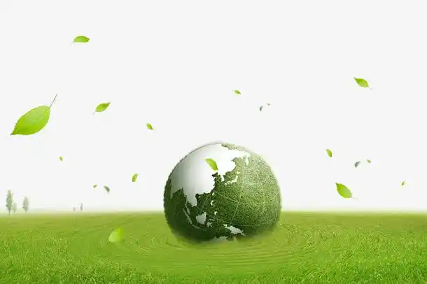 加强生态保护修复，助力人与自然和谐共生的现代化建设